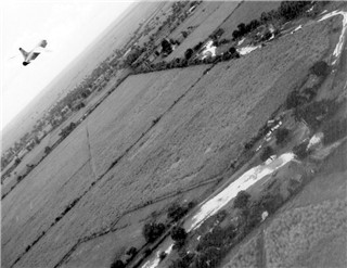 Click photo to enlarge. RF8 over Cuba
